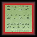 Atiq-u-Rahman Safi 01 * 22.03.2008 * 308 x 795 * (35KB)